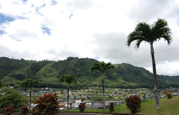 Chinese Cemetary-view west